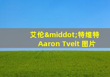 艾伦·特维特 Aaron Tveit 图片